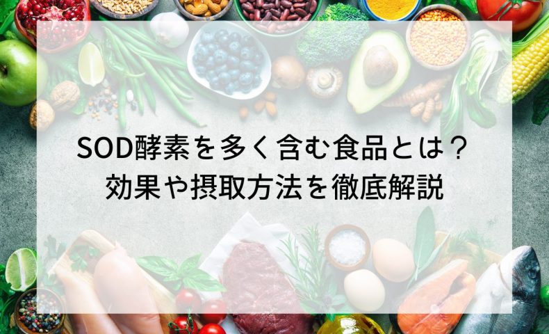 SOD酵素を多く含む食品とは?効果や摂取方法を徹底解説
