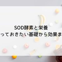 SOD酵素と栄養：知っておきたい基礎から効果まで