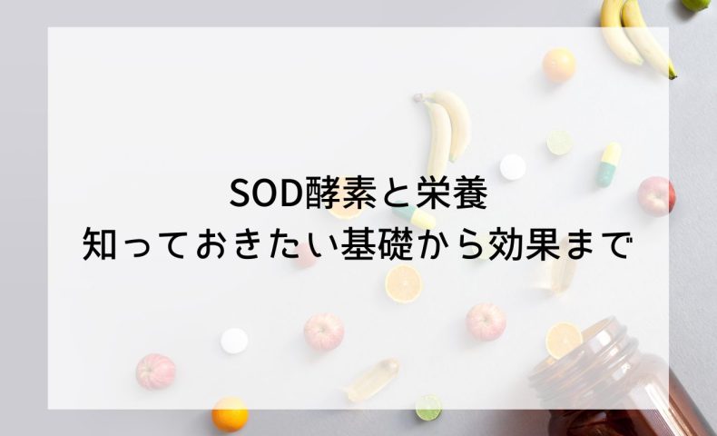 SOD酵素と栄養：知っておきたい基礎から効果まで